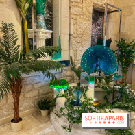 Entre mets et mots - IMG 6306