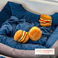 Le Doggy Brunch : le brunch gourmand entre chiens et maîtres à l'hôtel Kimpton Saint Honoré Paris - image00008