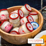 Le Doggy Brunch : le brunch gourmand entre chiens et maîtres à l'hôtel Kimpton Saint Honoré Paris - image00012