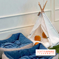 Le Doggy Brunch : le brunch gourmand entre chiens et maîtres à l'hôtel Kimpton Saint Honoré Paris - image00030