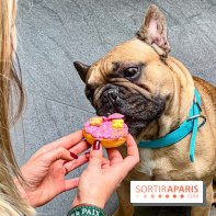 Le Doggy Brunch : le brunch gourmand entre chiens et maîtres à l'hôtel Kimpton Saint Honoré Paris - image00062