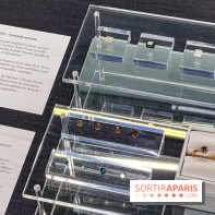 L'exposition gratuite des bijoux de la Maison de Haute-Joaillerie Vever rue de la Paix, à Paris  - image00027