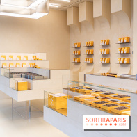 La chocolaterie William Artigue et ses chocolats de Noël 2024 -  A7C5846