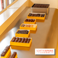 La chocolaterie William Artigue et ses chocolats de Noël 2024 -  A7C5851