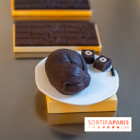 La chocolaterie William Artigue et ses chocolats de Noël 2024 -  A7C5856