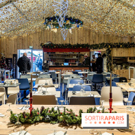 Le Marché de Noël géant de La Défense 2024 -  A7C6516