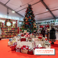 Le Marché de Noël géant de La Défense 2024 -  A7C6563