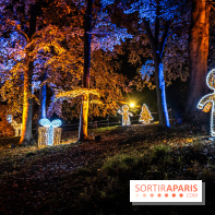 Lumières en Seine 2024, le parcours de lumières féérique et animé  -  A7C6617