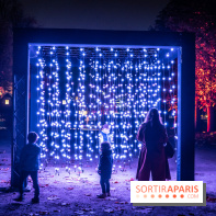 Lumières en Seine 2024, le parcours de lumières féérique et animé  -  A7C6899