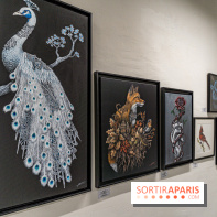 Le festival Street-art de la Poste du Louvre 2024, les photos -  Ardif