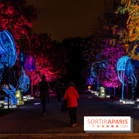 Jurassique en voir d'illumination, le parcours de lumières du jardin d'acclimatation 2024, les photos  -  A7C7011