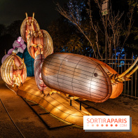 Jurassique en voir d'illumination, le parcours de lumières du jardin d'acclimatation 2024, les photos  -  A7C7022