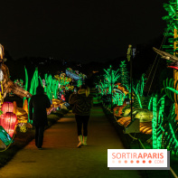 Jurassique en voir d'illumination, le parcours de lumières du jardin d'acclimatation 2024, les photos  -  A7C7048