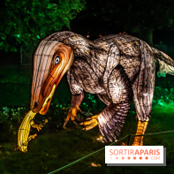 Jurassique en voir d'illumination, le parcours de lumières du jardin d'acclimatation 2024, les photos  -  A7C7067