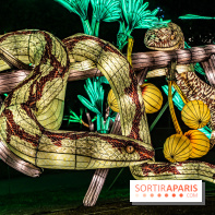 Jurassique en voir d'illumination, le parcours de lumières du jardin d'acclimatation 2024, les photos  -  A7C7070