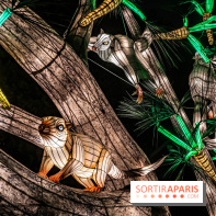 Jurassique en voir d'illumination, le parcours de lumières du jardin d'acclimatation 2024, les photos  -  A7C7079