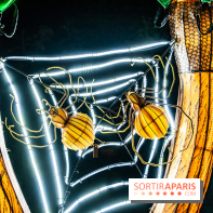 Jurassique en voir d'illumination, le parcours de lumières du jardin d'acclimatation 2024, les photos  -  A7C7094