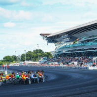  Bon plan : venez fêter le rois et les reines ! Ce dimanche c'est la galette pour les petits… et les grands à l’Hippodrome ! - tribunes1