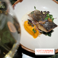 Onyx - Poisson, carotte, gingembre