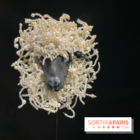 Paris, capitale de la perle  - IMG 6666