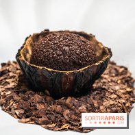 La bûche de Noël Hespéridée du Peninsula Paris 2024 et galette des rois 2025 -  A7C2260