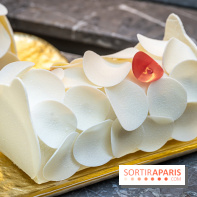 La bûche coffrets de Noël en trompe l'œil de Ladurée 2024 par Julien Alvarez et les créations de fête -  A7C2310