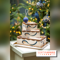 La bûche coffrets de Noël en trompe l'œil de Ladurée 2024 par Julien Alvarez et les créations de fête -  A7C2335