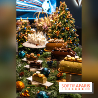 Les bûches de Noël de Jeffrey Cagnes 2024 - photos -  A7C6433