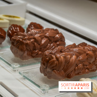 Les Bûches de Noël du Ritz Paris 2024 et les Galettes des Rois 2025 par François Perret - photos -  A7C2544