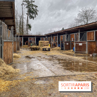 Domaine de Maffliers : notre test de l'escapade champêtre et équestre by Demeures de Campagne