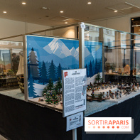 Exposition Playmobil à Fontainebleau - 1er Empire - Napoléon -  A7C7390