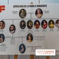 Exposition Playmobil à Fontainebleau - 1er Empire - Napoléon -  A7C7397