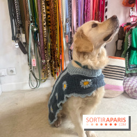 CAYU Canidés Club, la boutique d'accessoires dog friendly - nos photos