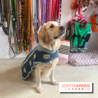 CAYU Canidés Club, la boutique d'accessoires dog friendly - nos photos
