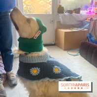 CAYU Canidés Club, la boutique d'accessoires dog friendly - nos photos