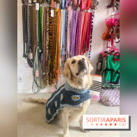 CAYU Canidés Club, la boutique d'accessoires dog friendly - nos photos