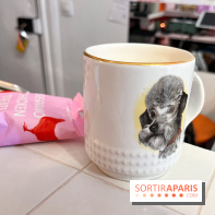 CAYU Canidés Club, la boutique d'accessoires dog friendly - nos photos