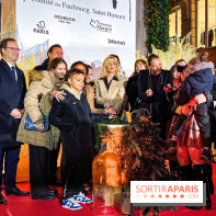 Les illuminations de Noël 2024 du Faubourg Saint Honoré avec Emmanuelle Béart - IMG 1532 jpg 2