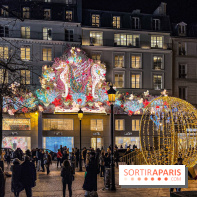 Les illuminations de Noël 2024 du Faubourg Saint Honoré avec Emmanuelle Béart - IMG 1591 jpg 3