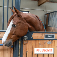 Bo Ranch, le restaurant - bar, site événementiel et lieu de compétition de Reining -  écuries - cheval