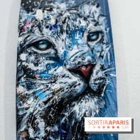 Boards to be solidaire 2024, nos photos