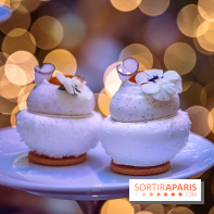 Le sublime tea time de Noël du Lutetia 2024 par Nicolas Guercio - les photos  -  Pavlova exotique à la coco, passion et mangue