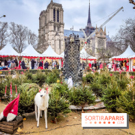 Le Marché de Noël de Notre Dame