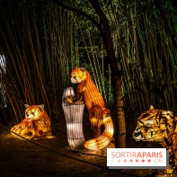 L'Odyssée Lumineuse 2024, le parcours de lumières au Parc Floral - les photos -  pandas roux
