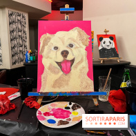 Paint your pet, l'atelier créatif pour peindre votre animal de compagnie - nos photos - image00007
