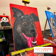 Paint your pet, l'atelier créatif pour peindre votre animal de compagnie - nos photos - image00001