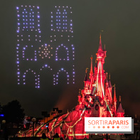 Disney ❤ Notre-Dame de Paris - IMG 1664