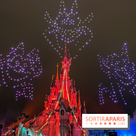 Disney ❤ Notre-Dame de Paris