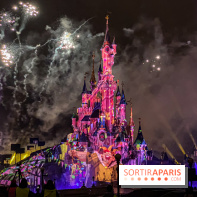 Disney ❤ Notre-Dame de Paris - IMG 1728