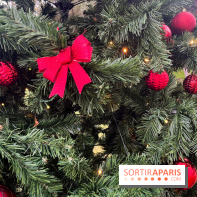 Noël au Jardin d'Acclimatation 2024  - image00029